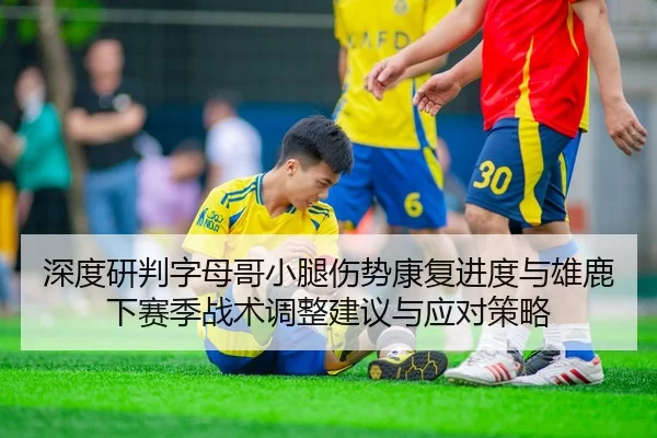 深度研判字母哥小腿伤势康复进度与雄鹿下赛季战术调整建议与应对策略