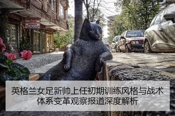 英格兰女足新帅上任初期训练风格与战术体系变革观察报道深度解析