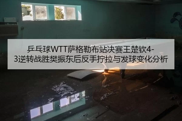 乒乓球WTT萨格勒布站决赛王楚钦4-3逆转战胜樊振东后反手拧拉与发球变化分析